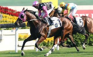 Champion galloper Beauty Generation (NZ) continues to dominate in Hong Kong. Photo: HKJC.